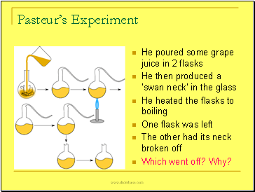 Pasteurs Experiment