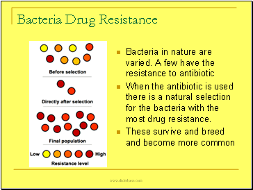 Bacteria Drug Resistance