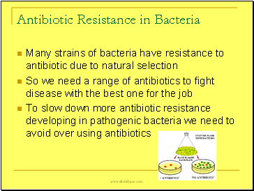 Antibiotic Resistance in Bacteria