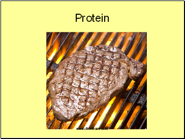 Protein