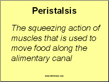 Peristalsis