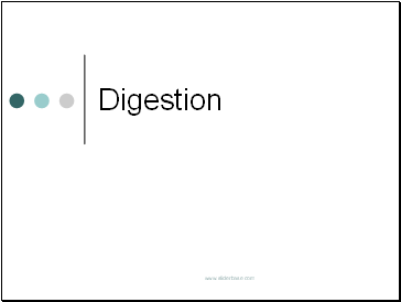 Digestion- foundation level