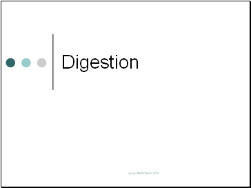 Digestion