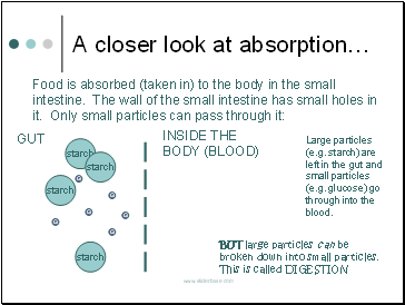 A closer look at absorption