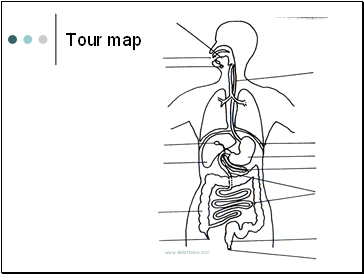 Tour map