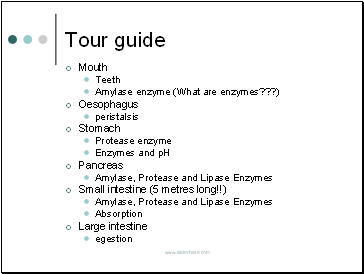 Tour guide