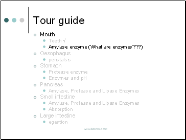 Tour guide