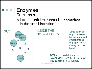 Enzymes