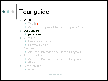 Tour guide