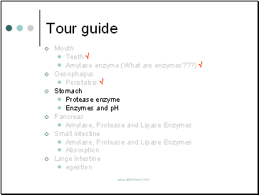 Tour guide