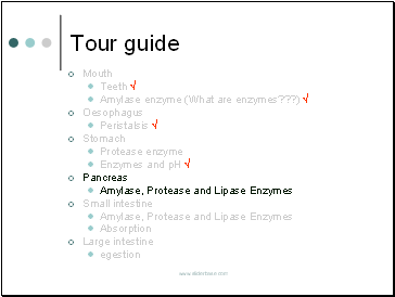 Tour guide