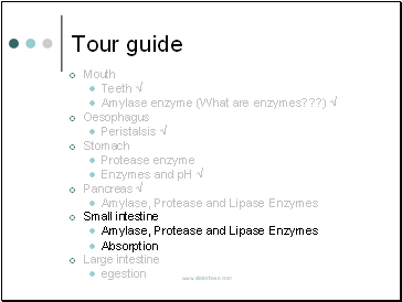 Tour guide