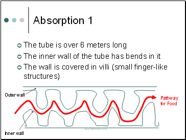 Absorption 1