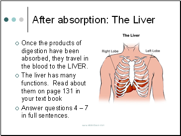 After absorption: The Liver