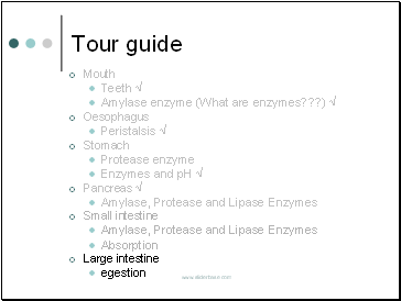 Tour guide