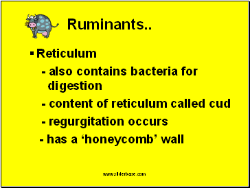 Ruminants