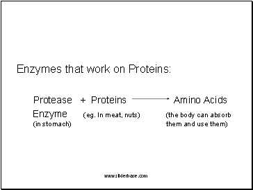 Enzymes that work on Proteins: