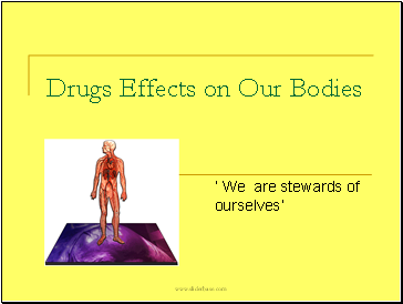 Drugs Effects on Our Bodies