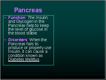 Pancreas