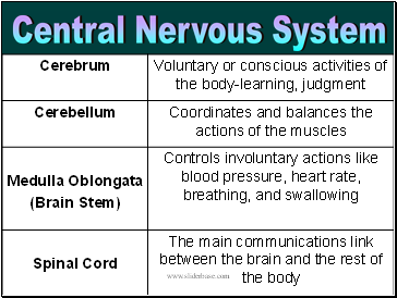 Central Nervous System