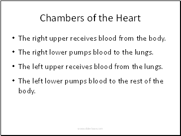 Chambers of the Heart
