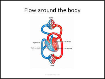 Flow around the body