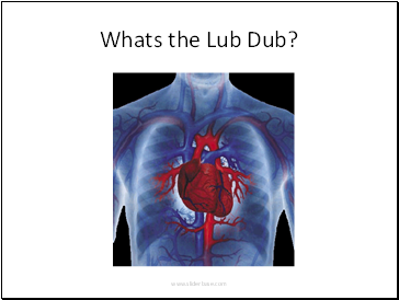 Whats the Lub Dub?