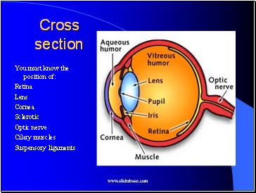 Cross section