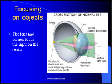 Focusing on objects