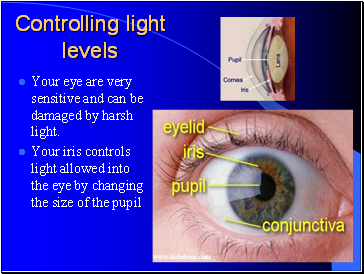 Controlling light levels