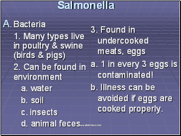 Salmonella