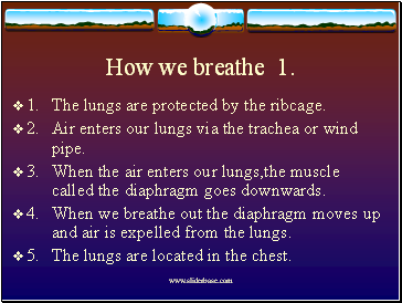 How we breathe 1.