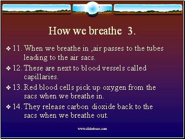 How we breathe 3.