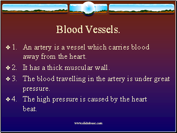Blood Vessels.