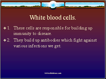 White blood cells.