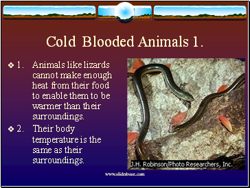 Cold Blooded Animals 1.