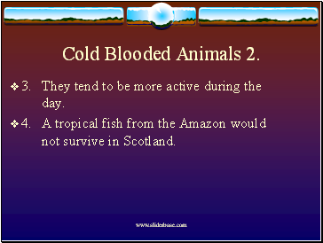 Cold Blooded Animals 2.