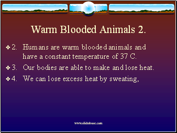 Warm Blooded Animals 2.