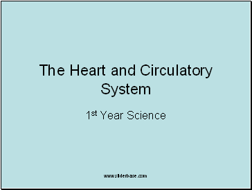 The Heart and Circulatory System