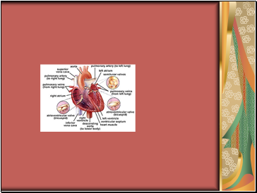 Heart disease arteriosclerosis