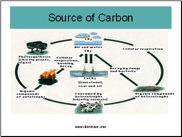 Source of Carbon