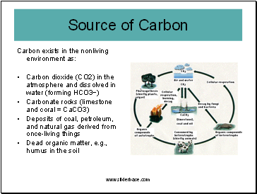 Carbon exists in the nonliving environment as: