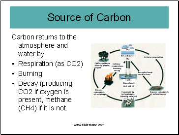 Carbon returns to the atmosphere and water by