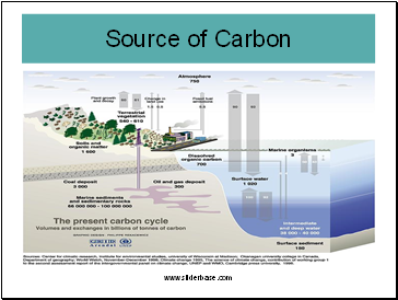 Source of Carbon