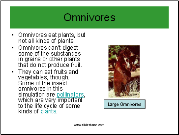 Omnivores eat plants, but not all kinds of plants.