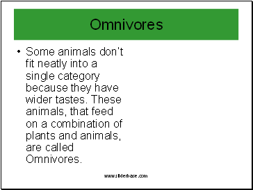 Some animals don’t fit neatly into a single category because they have wider tastes. These animals, that feed on a combination of plants and animals, are called Omnivores.