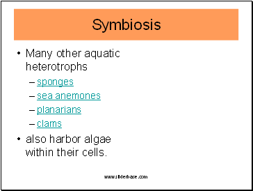 Many other aquatic heterotrophs