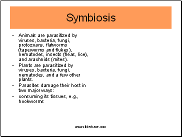 Animals are parasitized by viruses, bacteria, fungi, protozoans, flatworms (tapeworms and flukes), nematodes, insects (fleas, lice), and arachnids (mites).