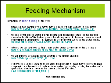 Definitions of Filter feeding on the Web: