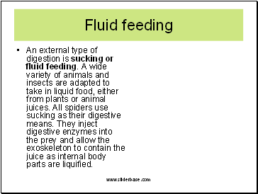 Fluid feeding